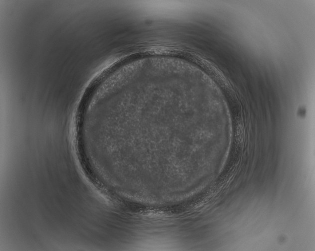 X0000116870730201001191722
