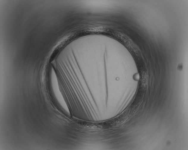 X0000116870731201001191722
