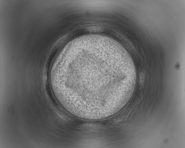 X0000116870733201001191722