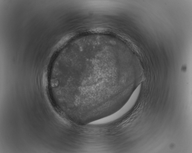 X0000116870734201001191722