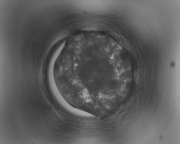 X0000116870735201001191722