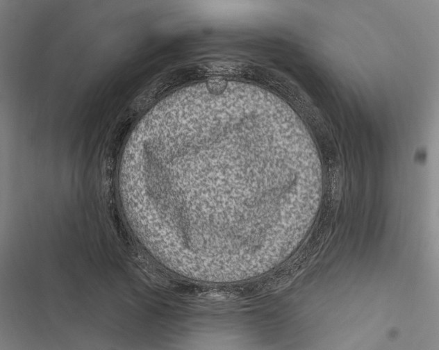X0000116870737201001191722