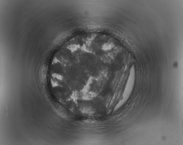 X0000116870742201001191722