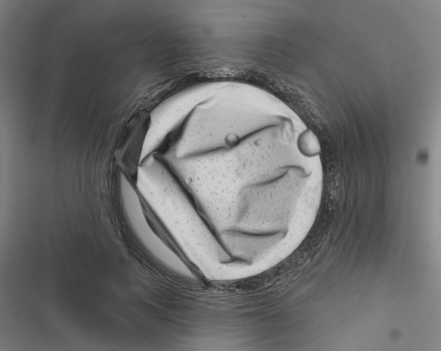 X0000116870743201001191722