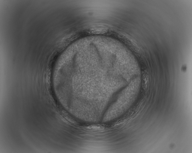 X0000116870745201001191722