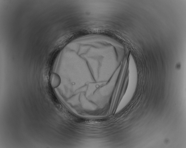 X0000116870746201001191722