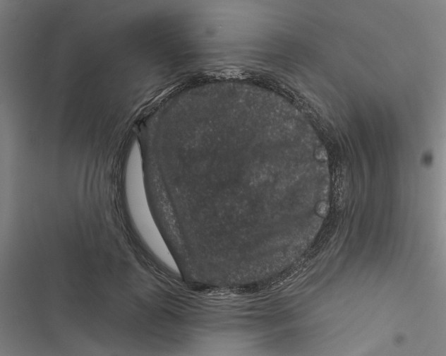 X0000116870747201001191722
