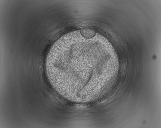 X0000116870749201001191722