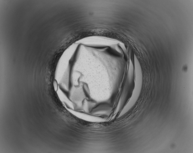X0000116870750201001191722