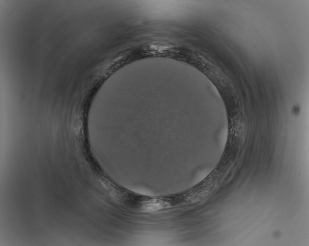 X0000116870754201001191722