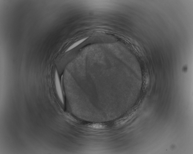 X0000116870759201001191722