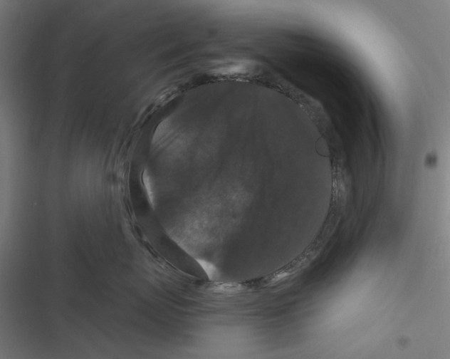 X0000116870767201001191722