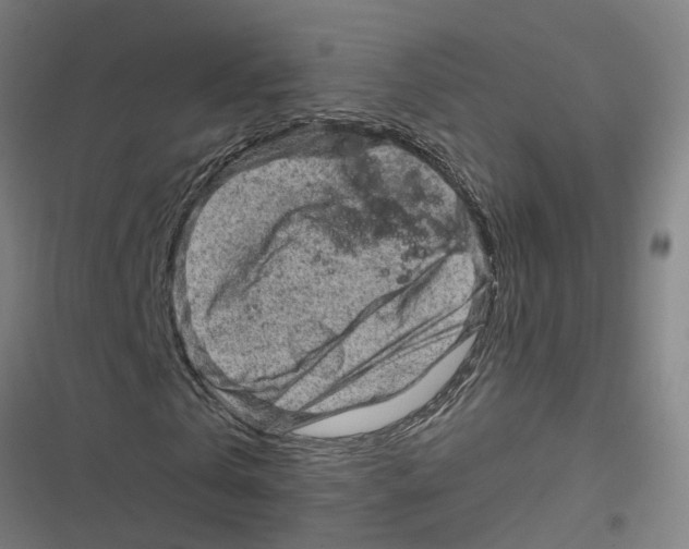 X0000116870769201001191722