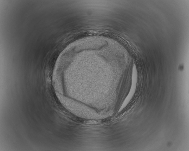X0000116870770201001191722