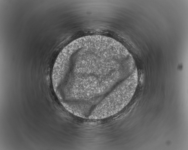 X0000116870771201001191722