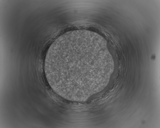 X0000116870772201001191722