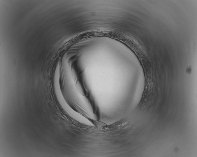 X0000116870773201001191722
