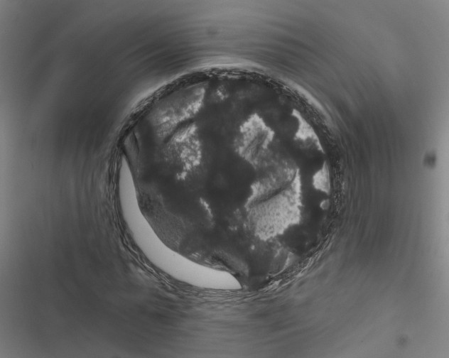 X0000116870775201001191722