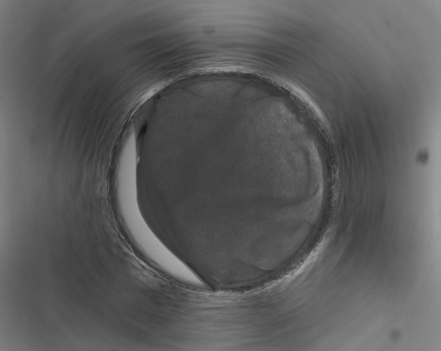 X0000116870777201001191722