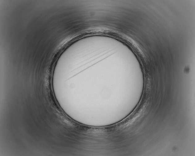 X0000116870778201001191722