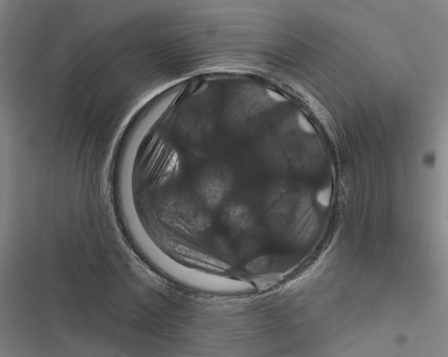 X0000116870779201001191722