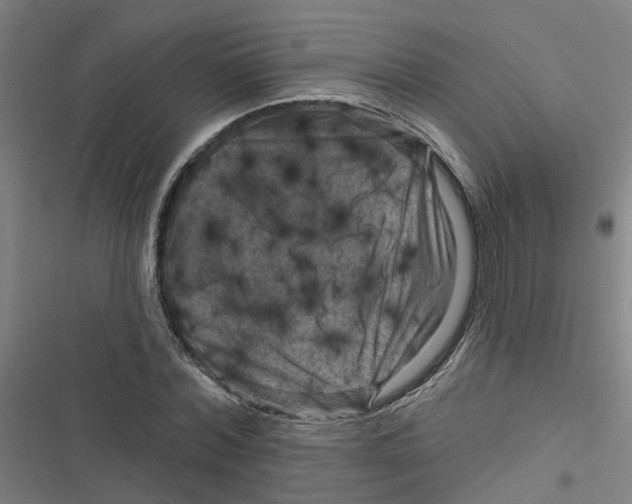 X0000116870780201001191722