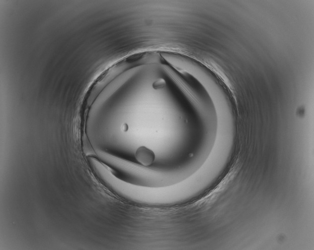 X0000116870781201001191722