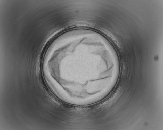 X0000116870782201001191722