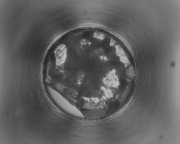 X0000116870783201001191722