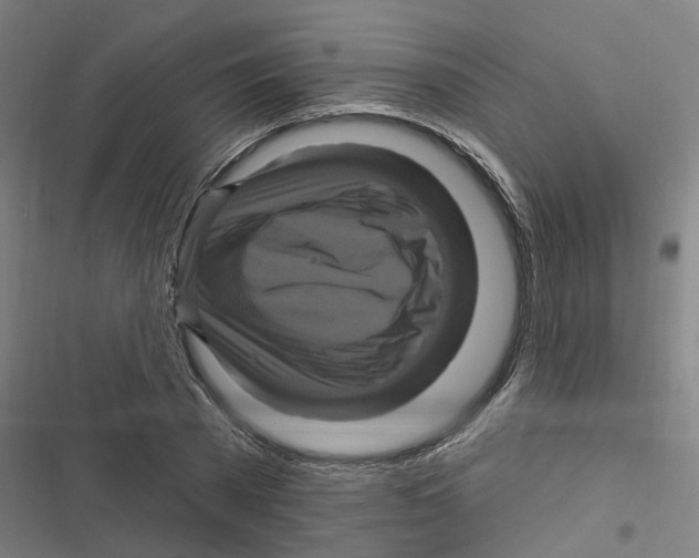 X0000116870785201001191722