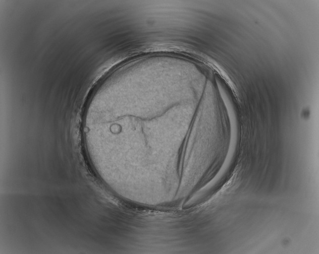 X0000116870786201001191722