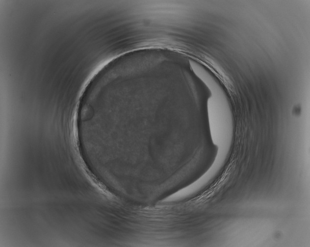 X0000116870788201001191722