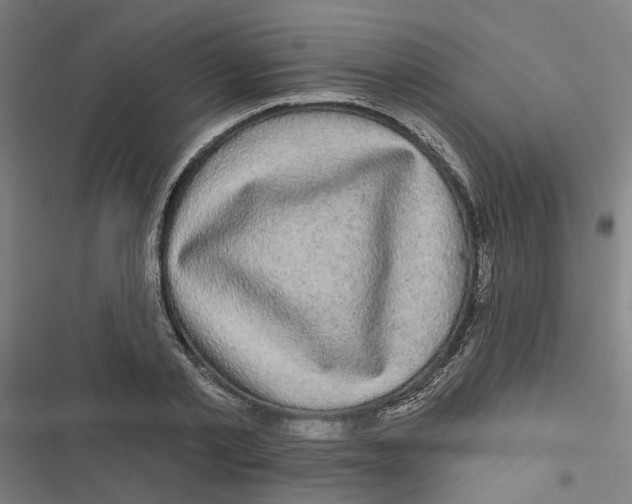 X0000116870789201001191721
