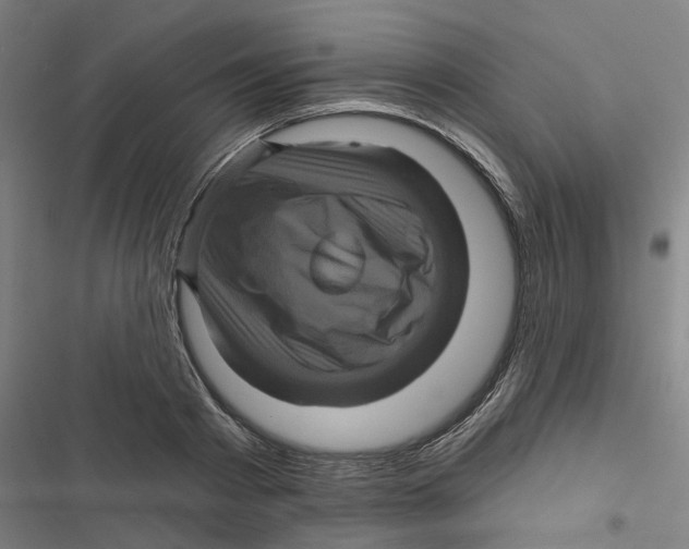 X0000116870793201001191721