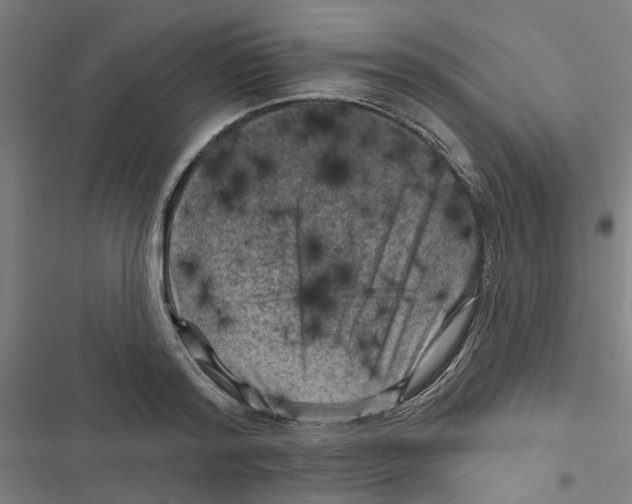 X0000116870796201001191721