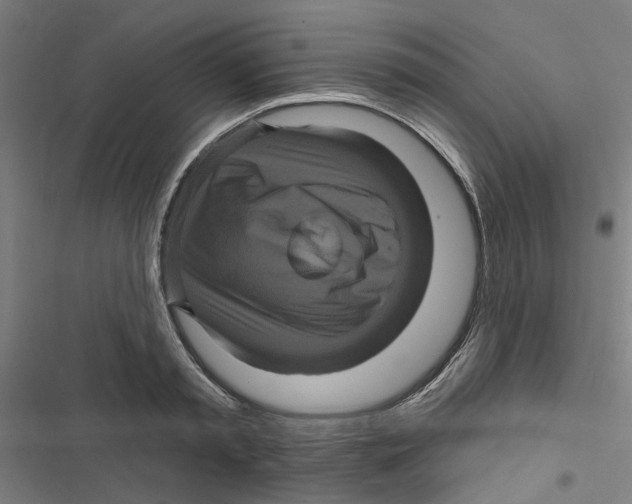 X0000116870797201001191721