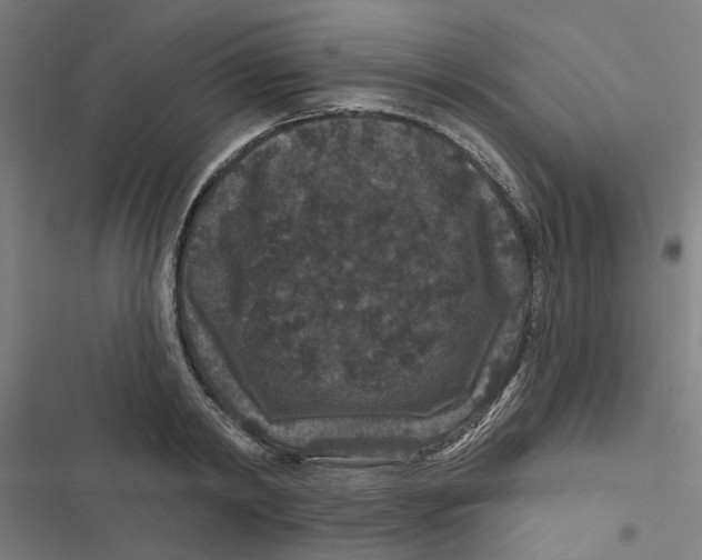 X0000116870798201001191721