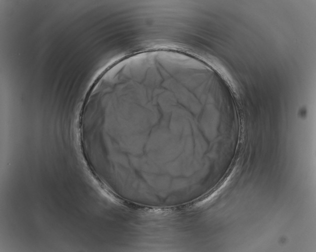 X0000116870806201001191721
