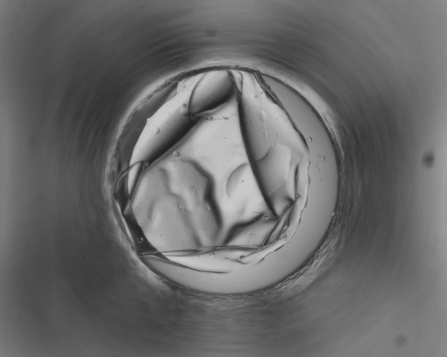 X0000116870807201001191721
