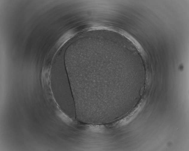 X0000116870809201001191721