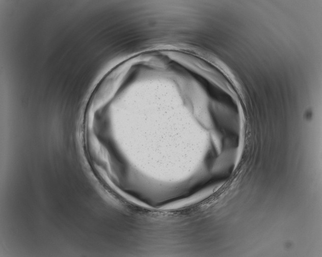 X0000116870811201001191721