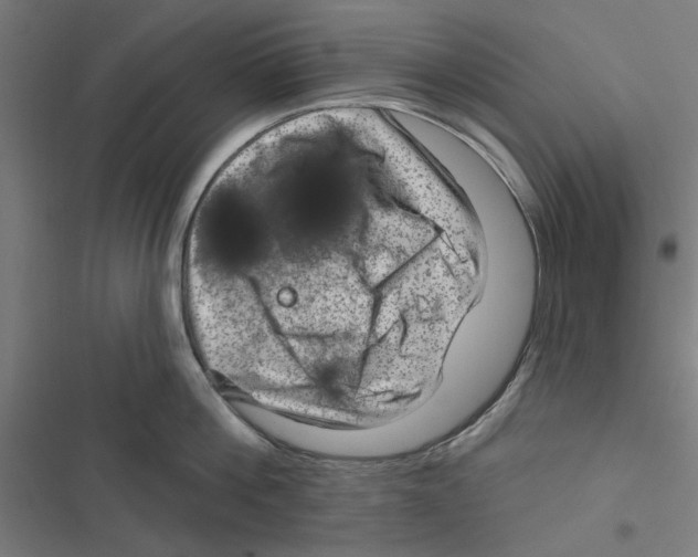 X0000116870812201001191721