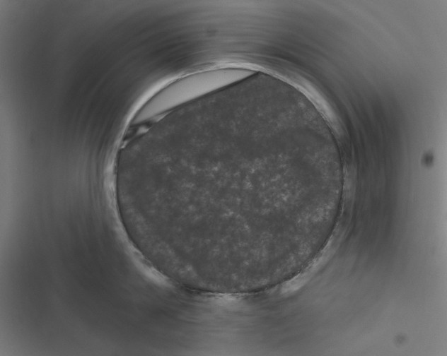 X0000116870814201001191721