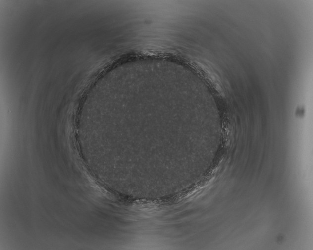 X0000116870817201001191720