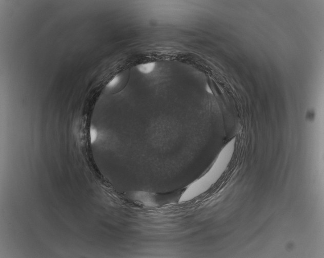 X0000116870818201001191720