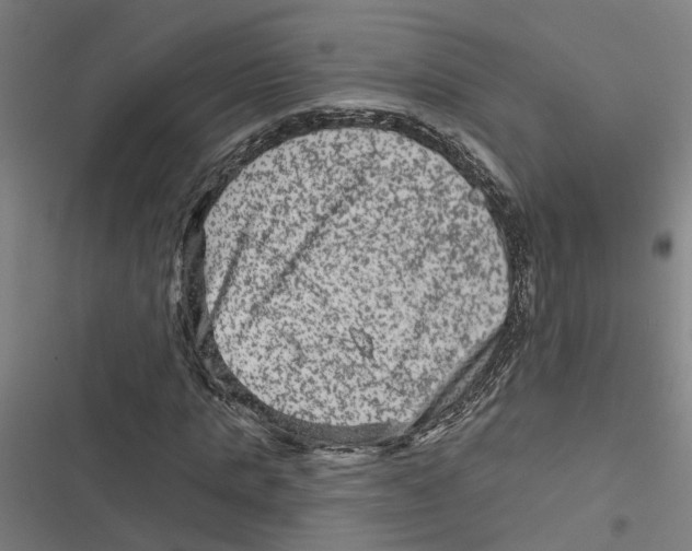 X0000116870821201001191721