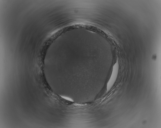 X0000116870822201001191721
