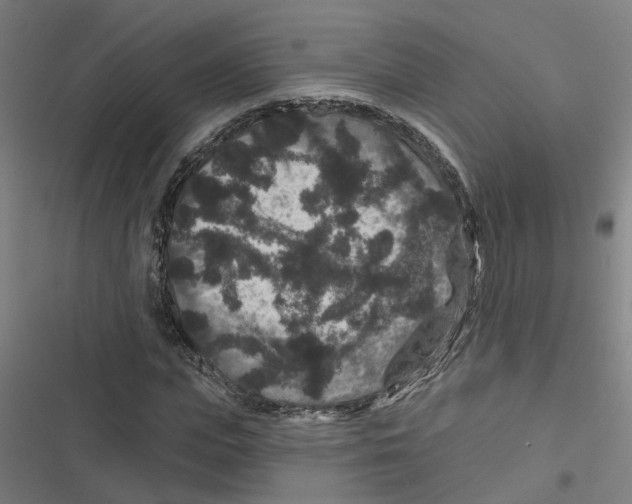 X0000116870823201001191721