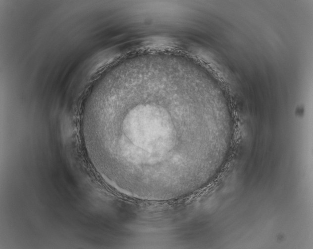 X0000116870824201001191721