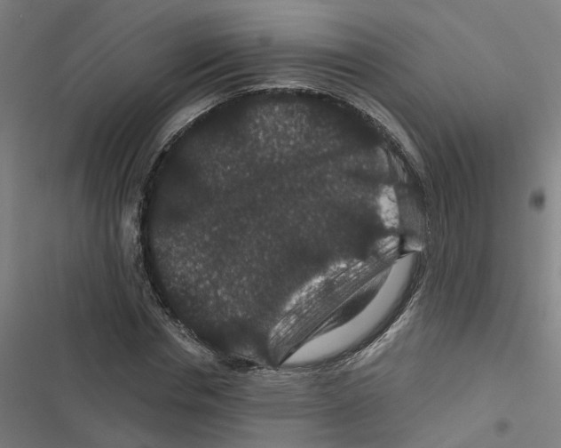 X0000116870826201001191721